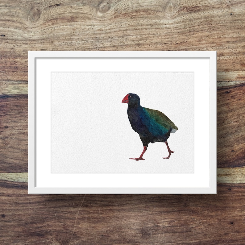K&ouml;nnte beinhalten: Ein Aquarellbild eines blauen und gr&uuml;nen Vogels mit rotem Schnabel. Der Vogel geht auf wei&szlig;em Hintergrund.