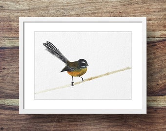 Fantail Etsy