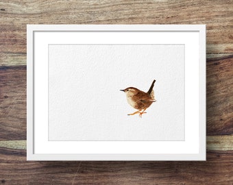 Wrens (Three Wren Prints 7x5 or A5)