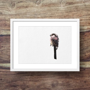 May include: A watercolor painting of a small, brown and pink bird perched on a branch. The bird has a long tail and a small beak. The painting is framed in a white frame.