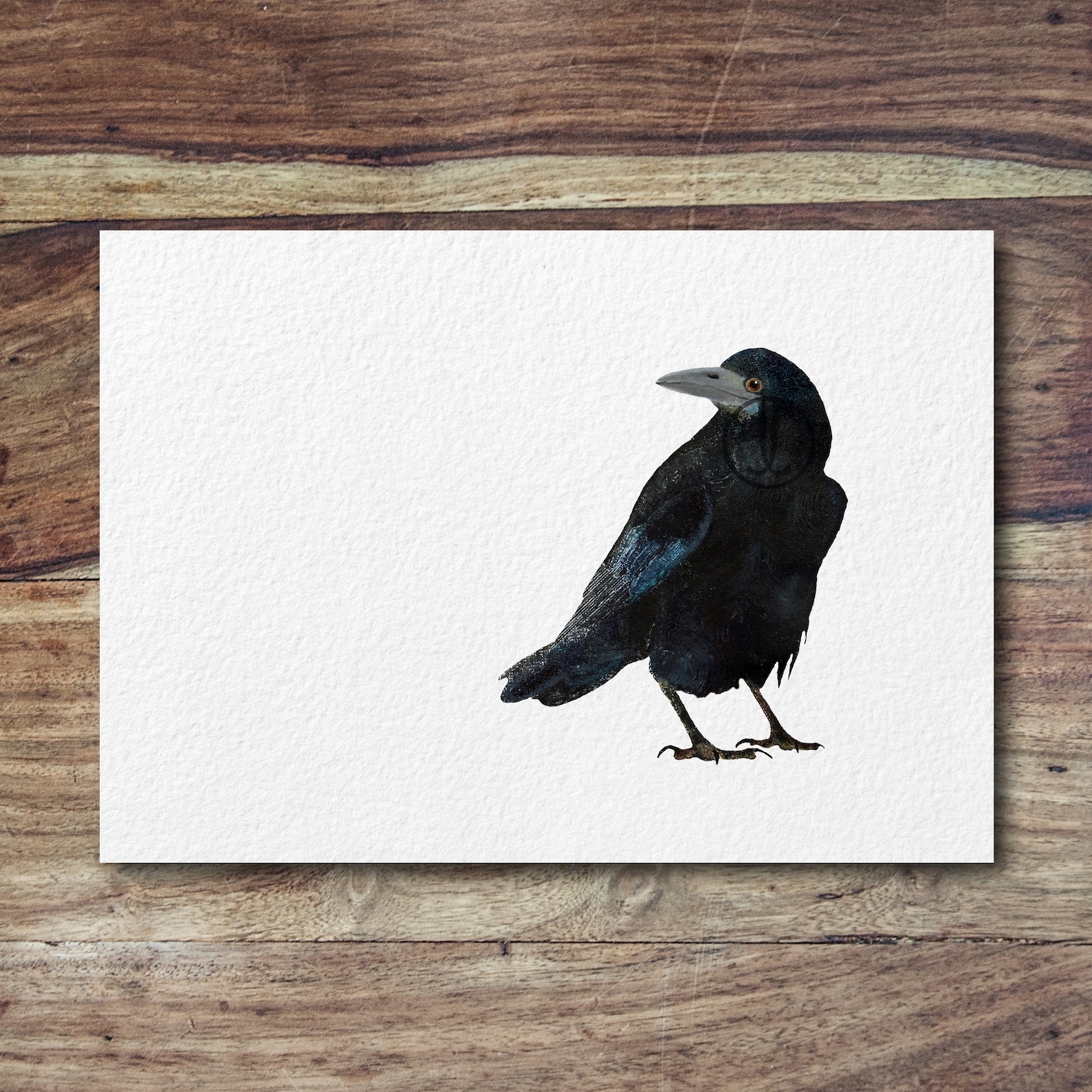 Rook garden Birds Bristish Bird Art Corvid Crow Art Rook - Etsy