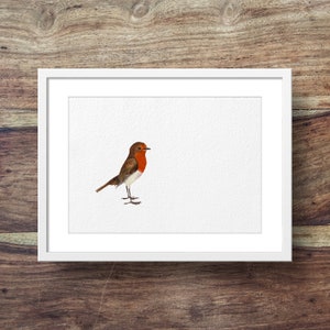 Upright Robin (Garden bird art, robins, robin print)