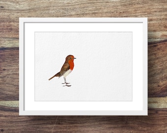 Upright Robin (Garden bird art, robins, robin print)