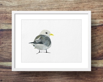 Kittiwake (seabird, coastal bird, bird art)