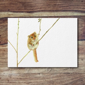 Dormouse mouse art, woodland animals, cute mouse art, mouse print image 2