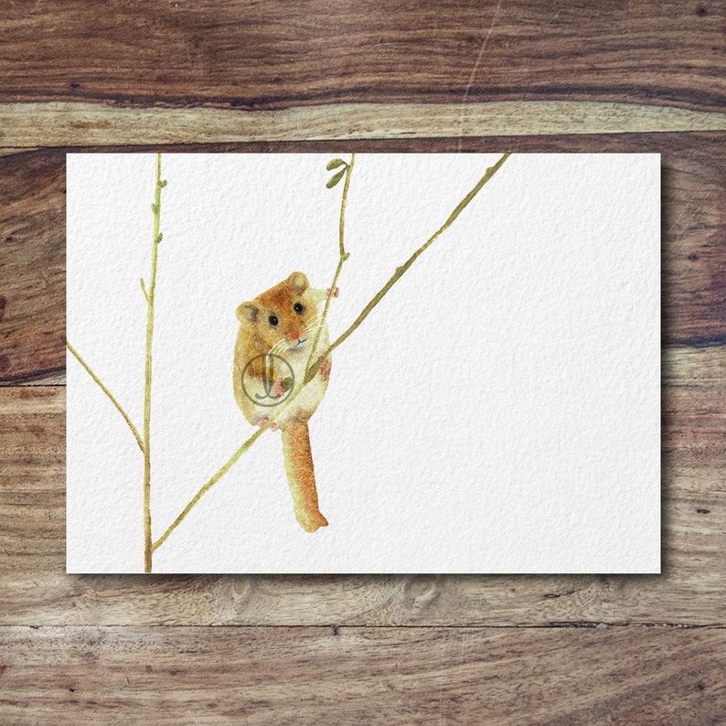 Dormouse mouse art, woodland animals, cute mouse art, mouse print image 2