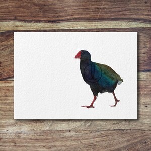 K&ouml;nnte beinhalten: Aquarellmalerei eines blauen, gr&uuml;nen und roten Vogels mit langem Schnabel. Der Vogel geht auf wei&szlig;em Hintergrund.