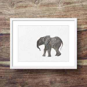 Baby Elefant Bild 1