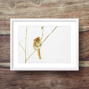 Dormouse mouse art, woodland animals, cute mouse art, mouse print image 1