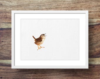 Puede incluir: Una pintura de acuarela de un pájaro pardo, un chochín, con la boca abierta como si cantara, sobre un fondo blanco. El pájaro está enmarcado en un marco blanco.