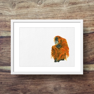 Orangutan endangered animals, Orangutan art image 1