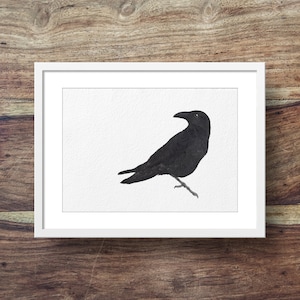 Raven