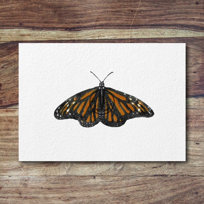 Monarch butterfly butterfly art, butterfly painting, butterflies image 2