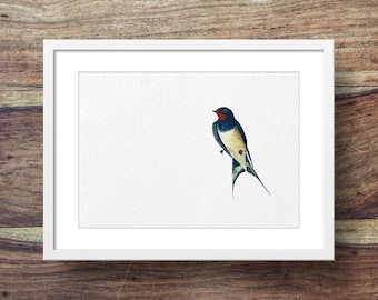 Swallow (swallows, swallow art, swallow print, beautiful birds)