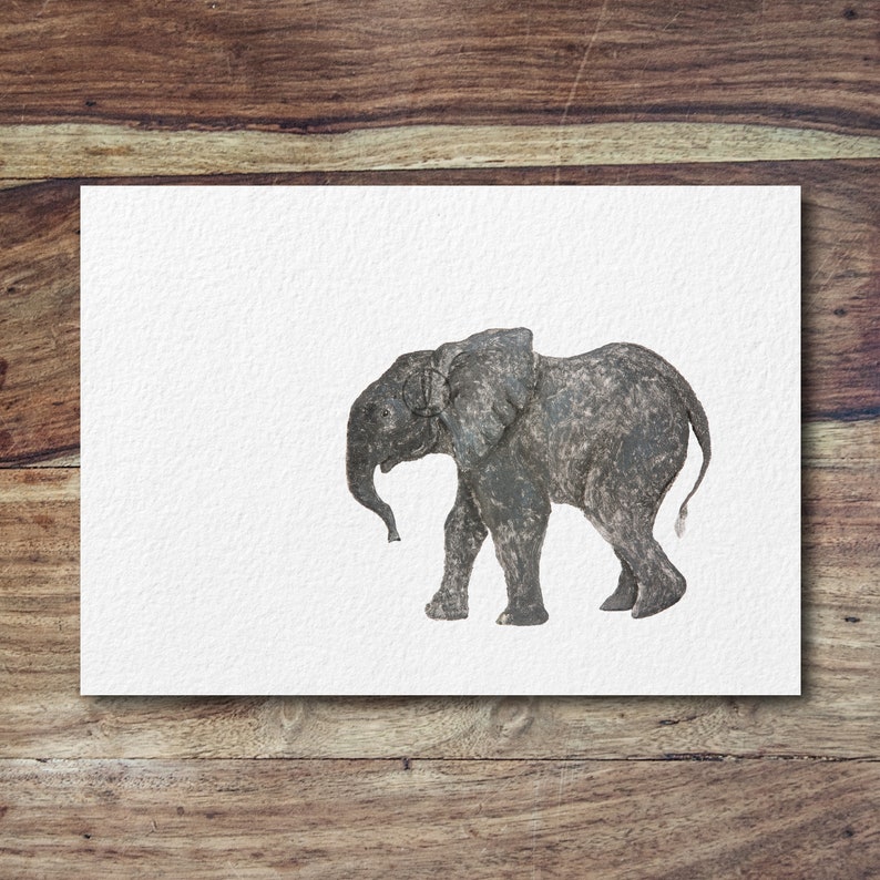 Baby Elephant image 2