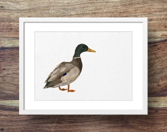 Male Mallard (duck art, duck print, ducks)