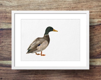 Männliche Mallard (Ente Kunst, Ente Druck, Enten)