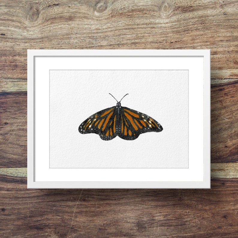 Monarch butterfly butterfly art, butterfly painting, butterflies image 1