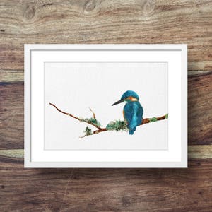 Kingfisher