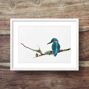 Kingfisher image 1