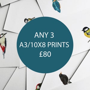 ANY 3 A3/10x8 PRINTS - Nursery Prints - Baby Nursery - Home Decor - Kids Room - Wall Art - Illustration - Special Offer