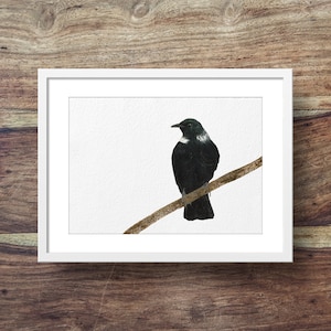 Tui (Neuseeland Kunst, Neuseeland Vögel, Tui Vogel, Tui Kunst, süßes Tui)