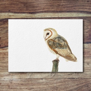 Barn Owl Owl Art, owls, cute owls, owl print image 2