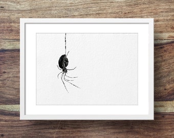 Black Widow Spider (art de l’araignée, araignées)
