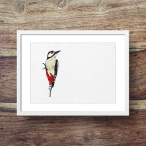 Great spotted woodpecker (woodpecker, woodpecker art)