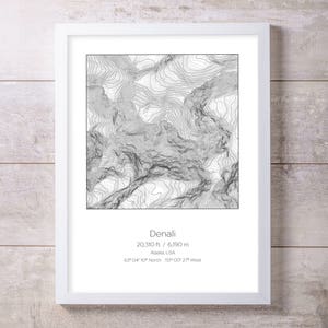 Denali, Alaska, art mural, impression d'altitude, topographie
