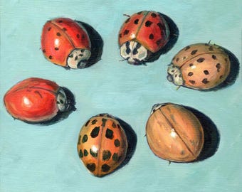 てんとう虫の絵画プリント：昆虫の壁飾り（8x8インチ） - Etsy 日本