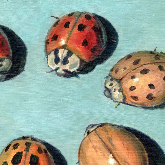 てんとう虫の絵画プリント：昆虫の壁飾り（8x8インチ） - Etsy 日本