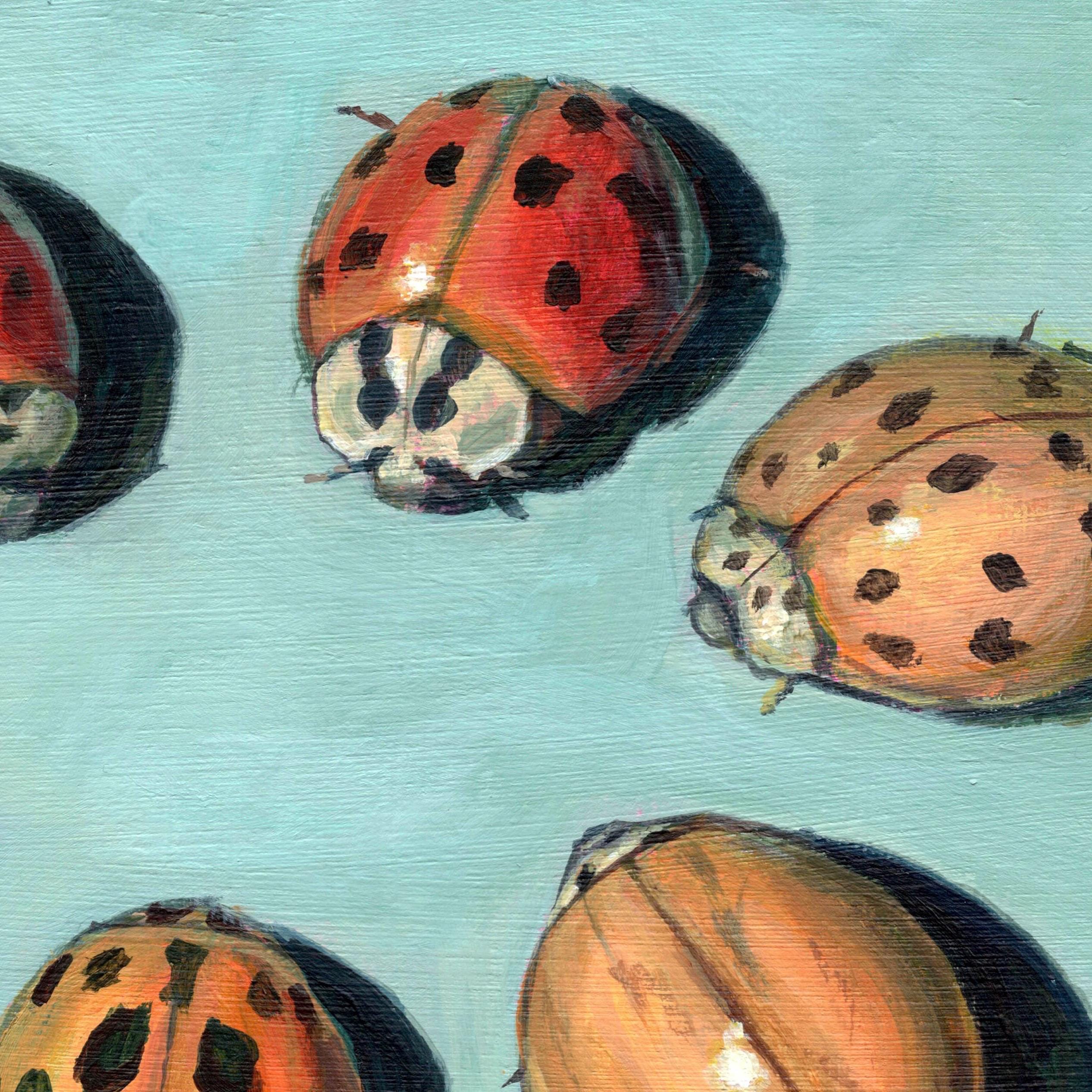 てんとう虫の絵画プリント：昆虫の壁飾り（8x8インチ） - Etsy 日本