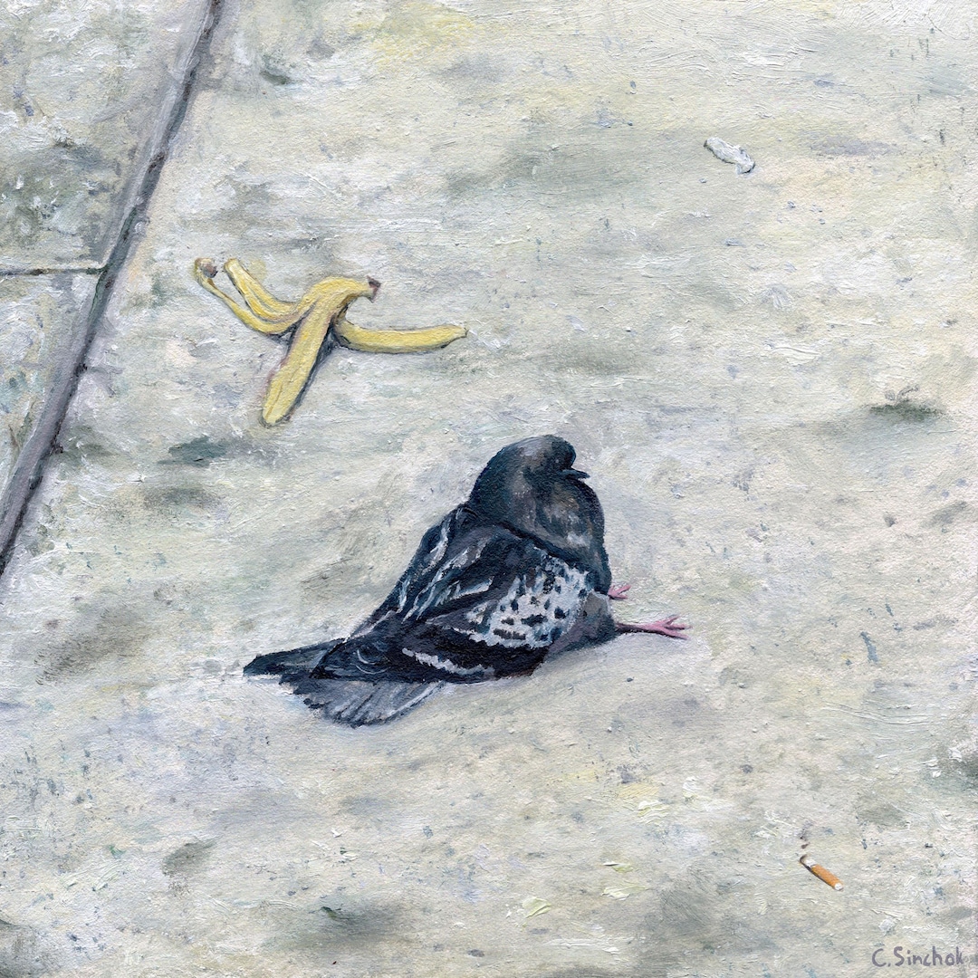 JOHN DERIAN 鳩のイラスト プレート John Derian