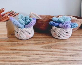 Crochet Plant, Crochet Succulent, Thank You Gift, Amigurumi, Desk Pet, Plant Lover, Cute Gifts