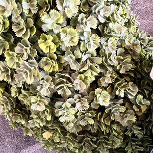 Real Touch Artificial Sedum Wreath image 6