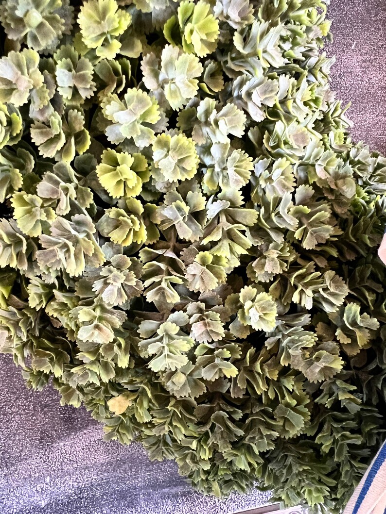 Real Touch Artificial Sedum Wreath image 6