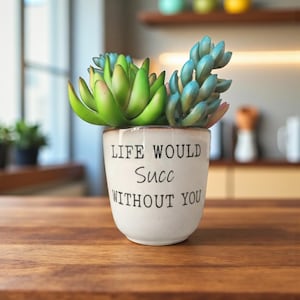 May include: A small, off-white ceramic pot with the text "LIFE WOULD Succ WITHOUT YOU" in black lettering. The pot contains two types of artificial succulents, one green and one blue, on a wooden surface.