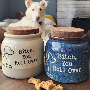 Funny Dog Treat Jar, Inappropriate Pet Gift, Dog Lover, Kitchen Storage