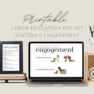 Afdrukbaar station en verloving | Digitale download voor doula's en geboorteprofessionals | Pdf's over arbeidseducatie | Positiegids Visueel hulpmiddel
