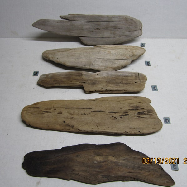 14"-15" Flat Driftwood Pieces/FDP3