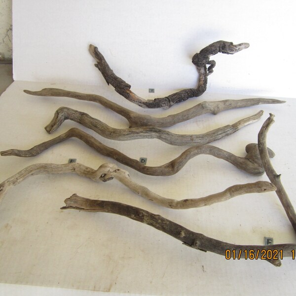 Long Curvy driftwood Pieces/LC1