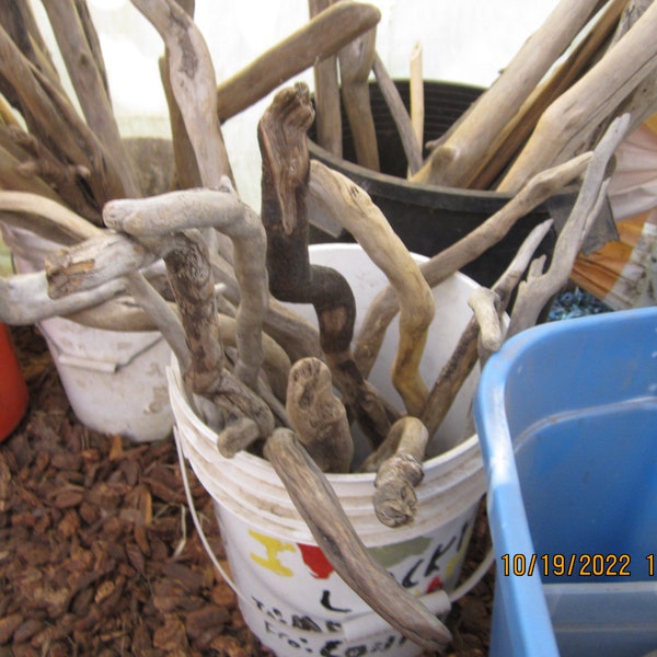 Driftwood Etsy