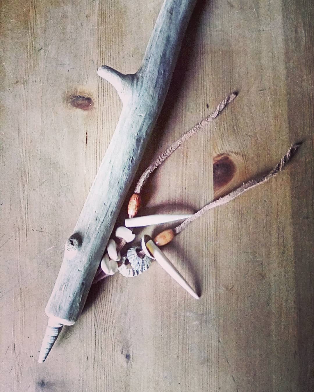 Talking Stick shells ocean wood ceremony healing Etsy