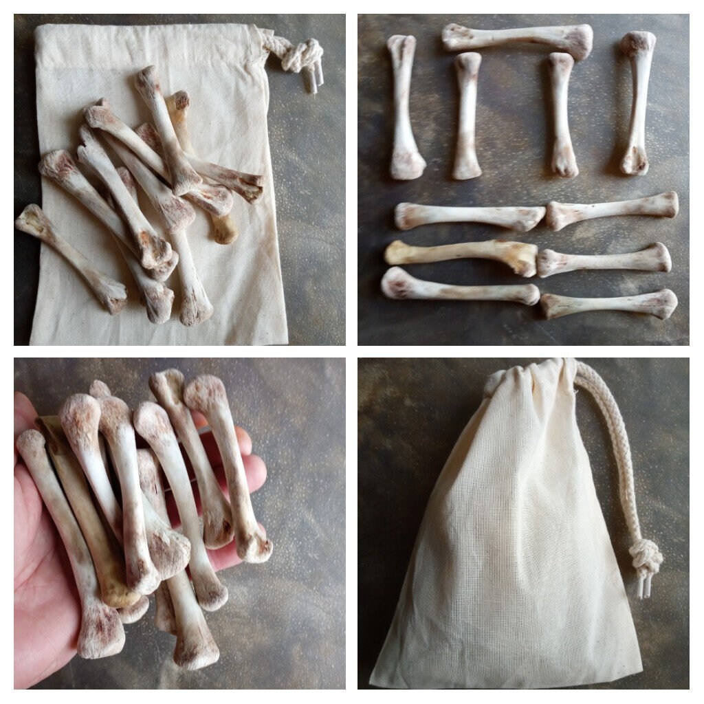Deluxe Bone Throwing Kit Bone Divination Set Osteomancy Witch Altar