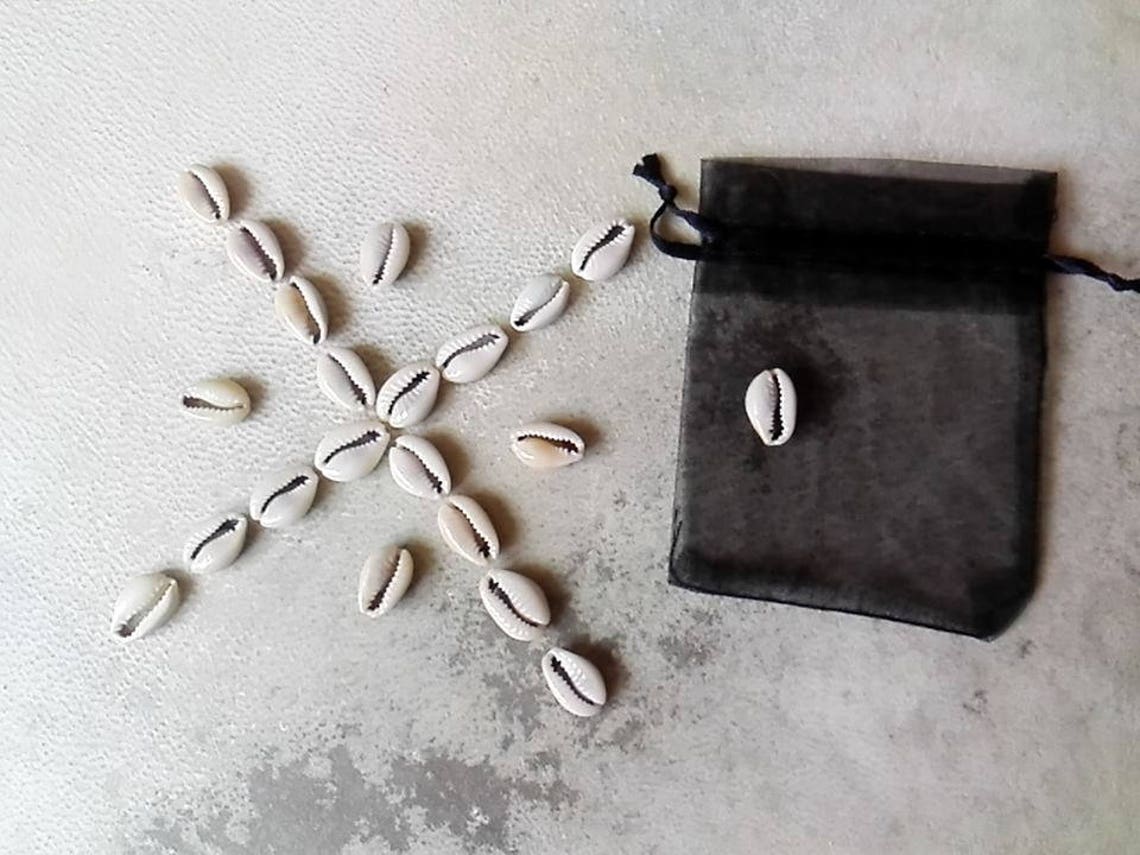 Cowrie Shell Divination Set 21 Shells Voodoo Santeria Etsy