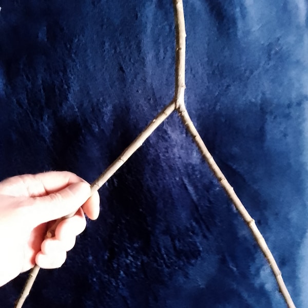 Willow Dowsing Rod - Witching divination readers dowsers witch wiccan pagan shaman druid spirituality Tools