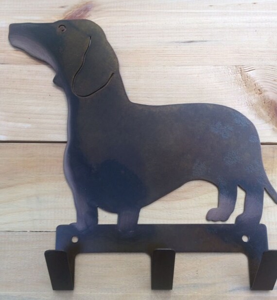 dachshund large