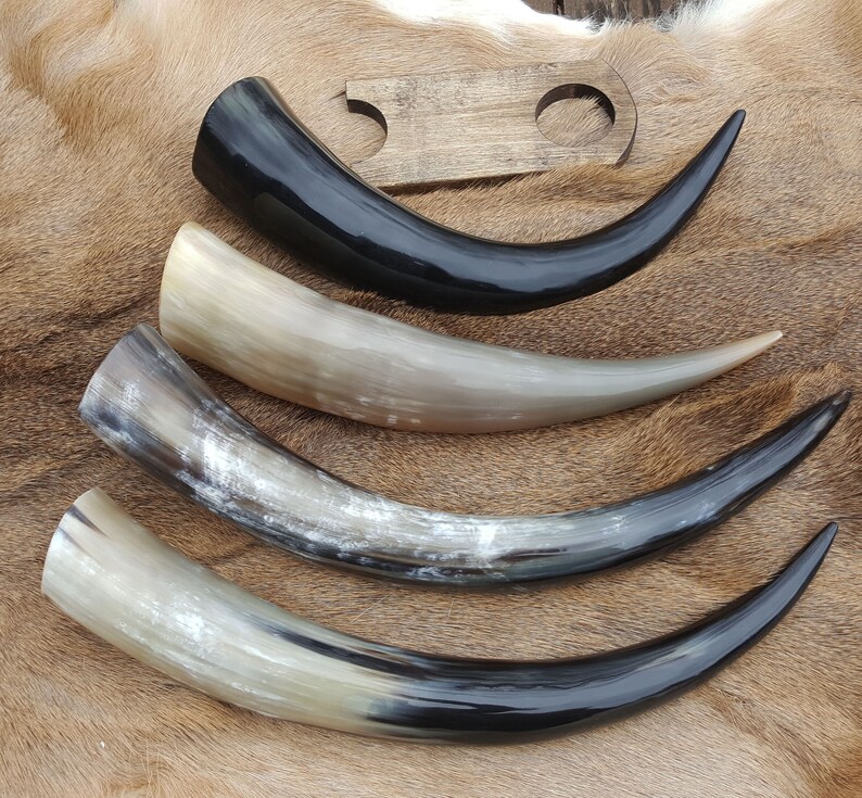 Mead Horn & Stand/pint Sized Horn/drinking Etsy