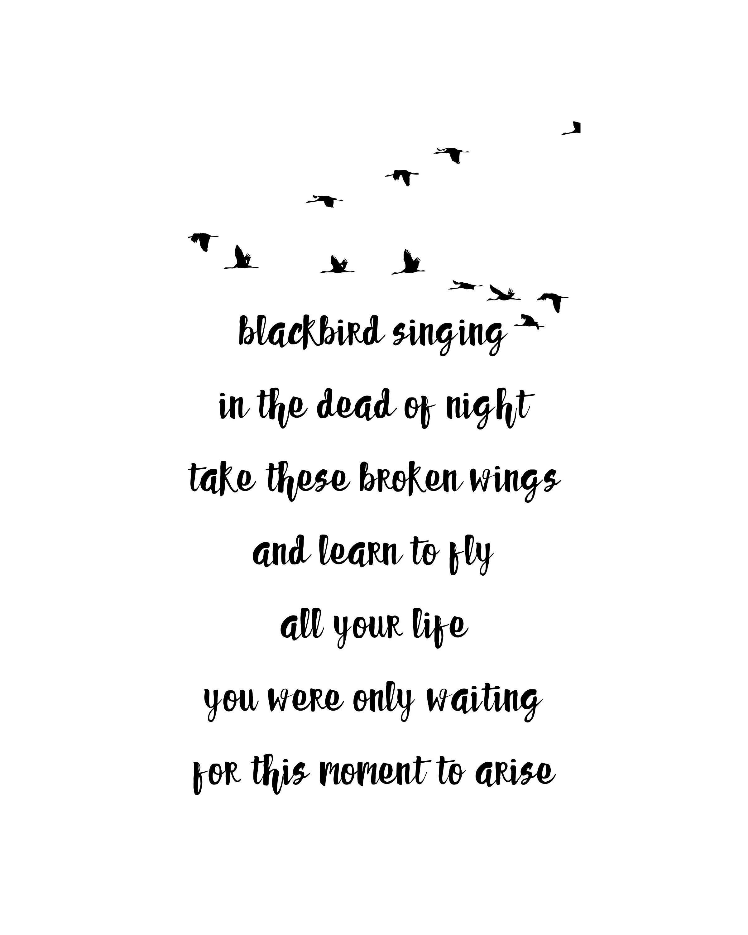 Blackbird Beatles Art, DIGITAL DOWNLOAD, Music Lyrical Art